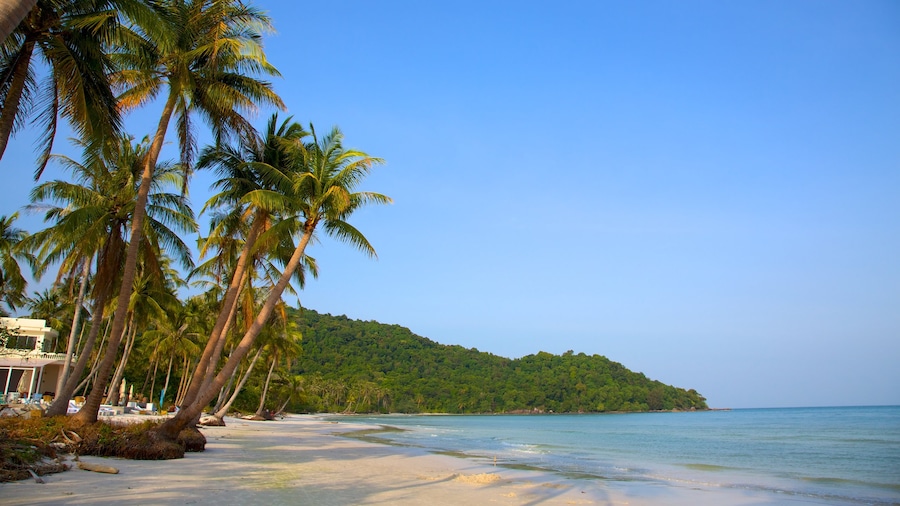 Vietnam featuring a sandy beach and tropical scenes