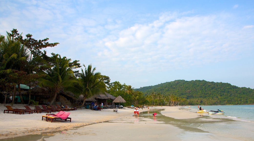 Vietnam das einen Strand und tropische Szenerien