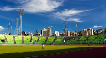 Caracas che include architettura moderna