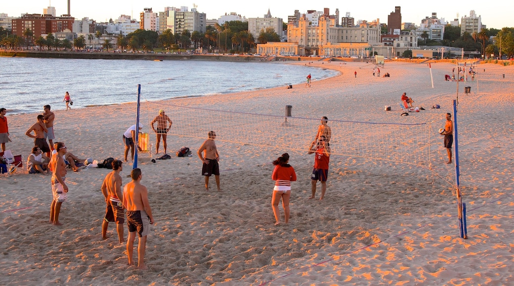 Uruguay featuring a sandy beach and a sunset as well as a large group of people