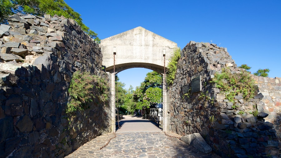 Porton de Campo