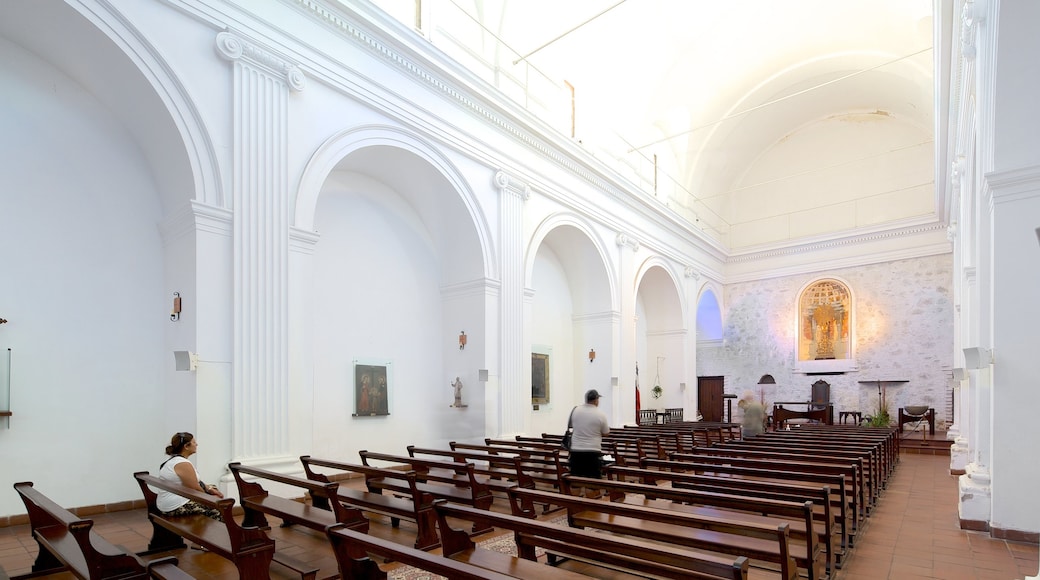 Iglesia Matriz ofreciendo una iglesia o catedral, elementos religiosos y vista interna