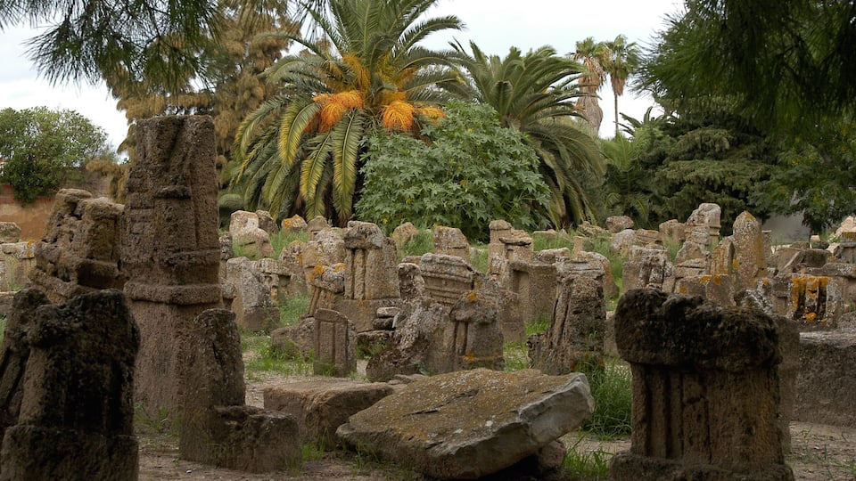 Tunis showing building ruins