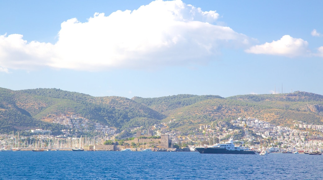 Bodrum showing general coastal views