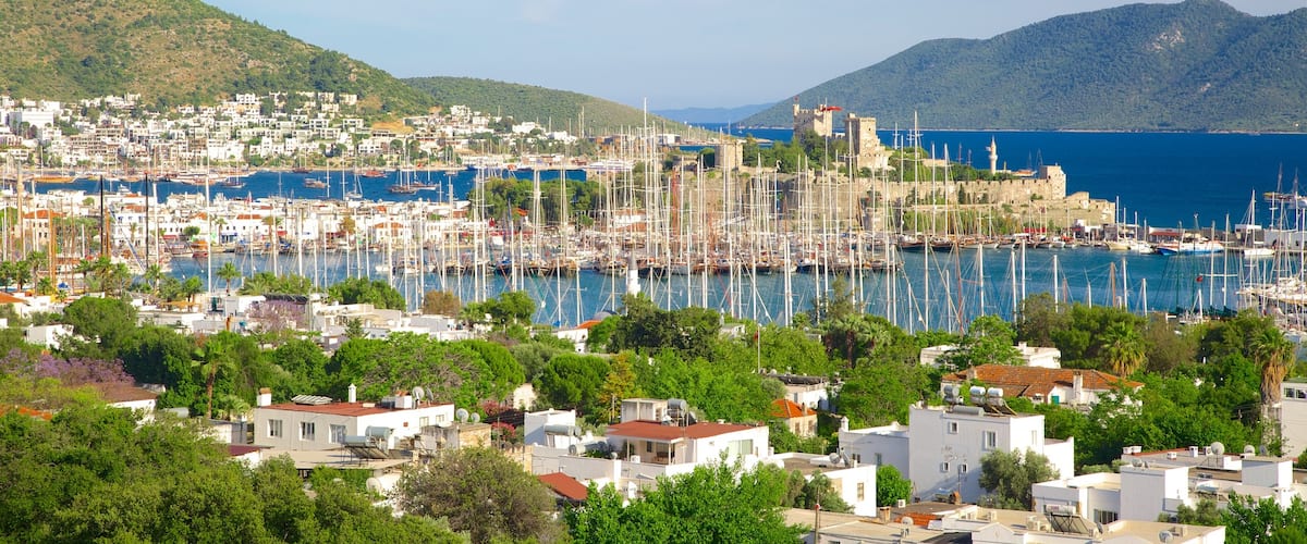 Bodrum mostrando una marina y una ciudad costera