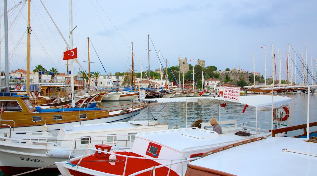 Bodrum featuring a marina