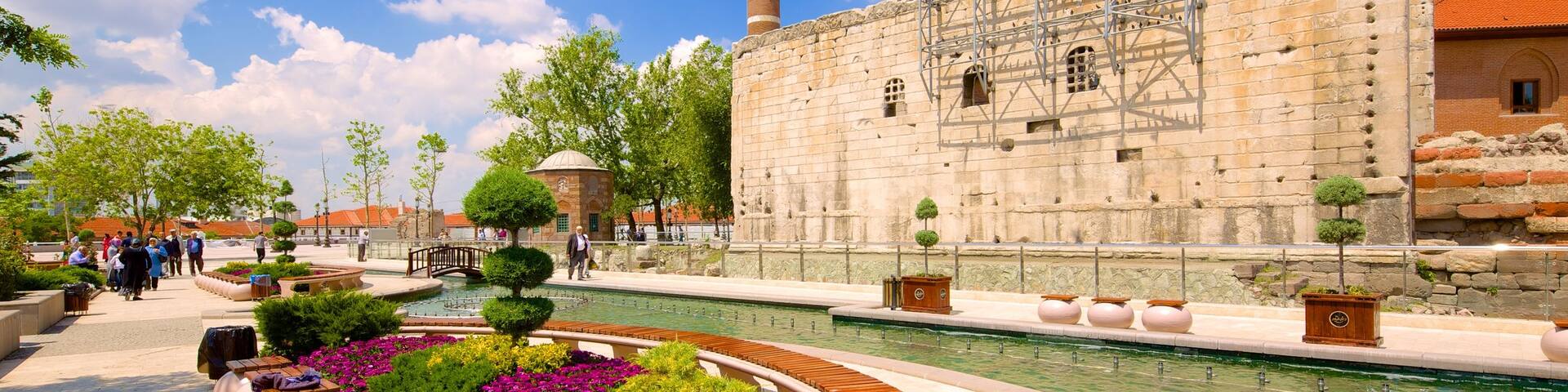Monumentum Ancyranum showing a pool and a garden