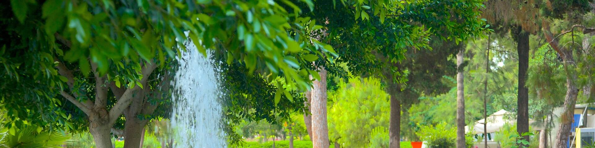Karaalioglu Park showing a fountain and a garden