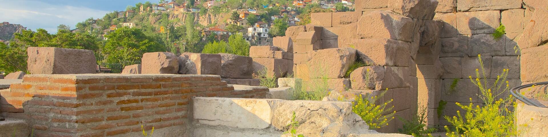 Roman Theatre featuring building ruins