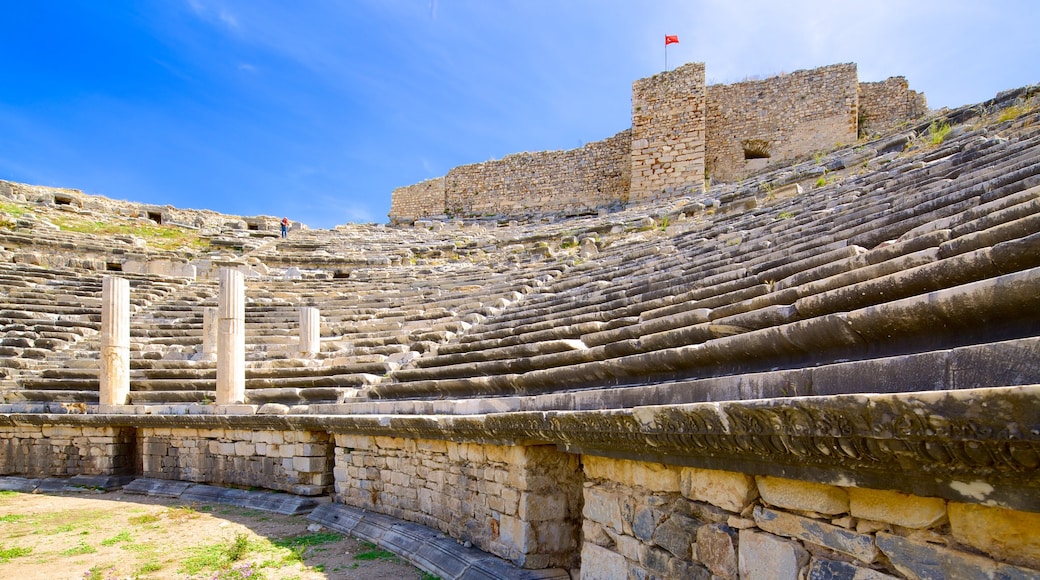 Miletus Ruins which includes a ruin