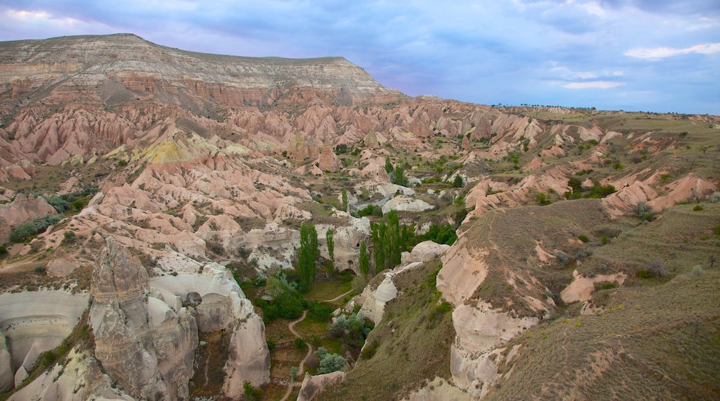 Valea Trandafirilor mostrando gola o canyon