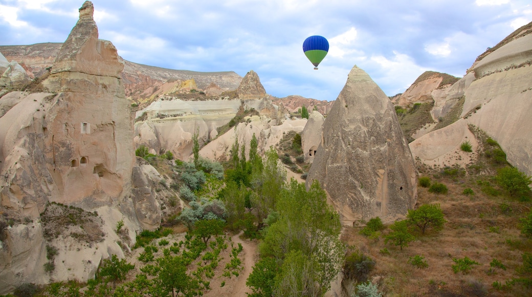 Rose Valley bevat ballonvaren