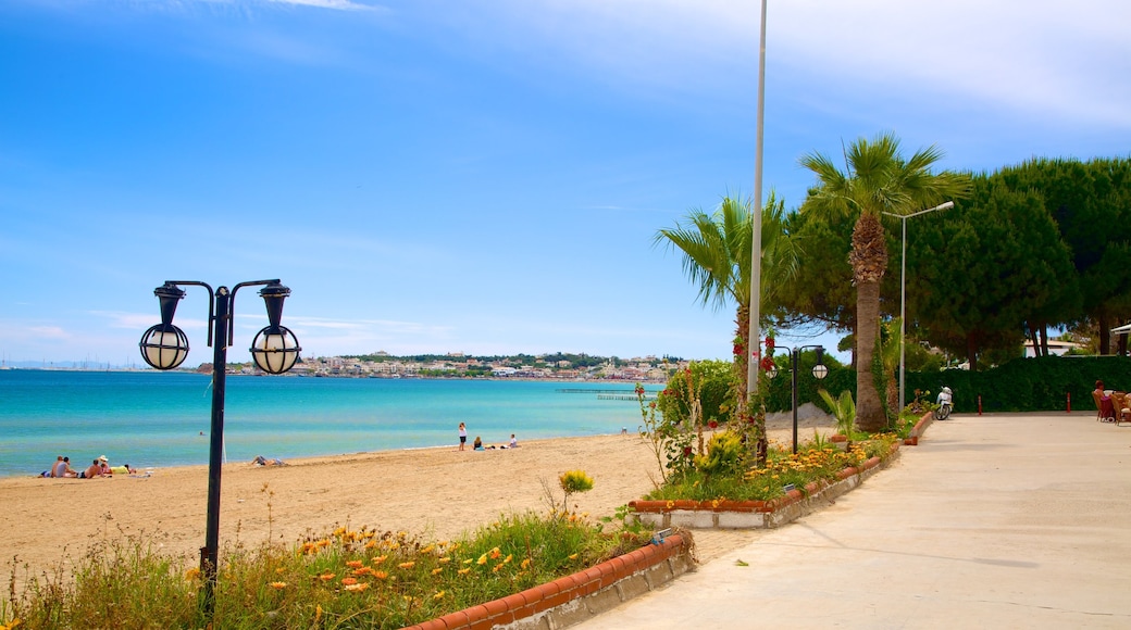 Didyma showing a sandy beach