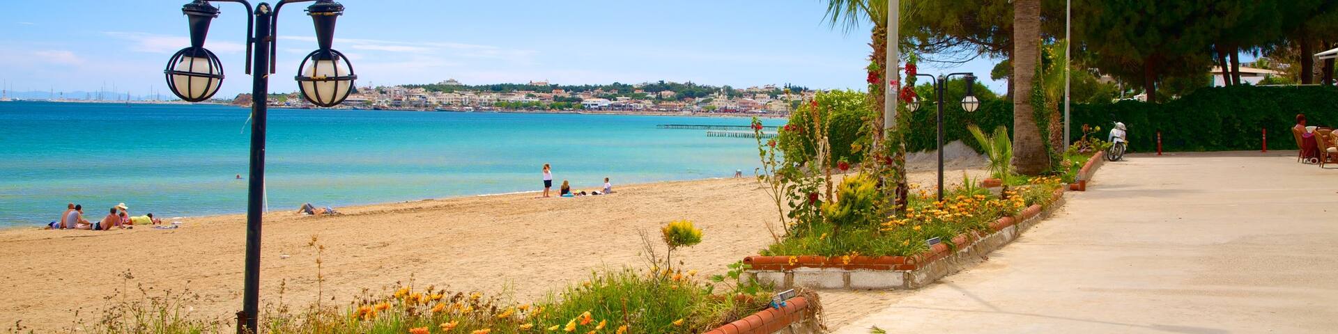 Didyma showing a beach