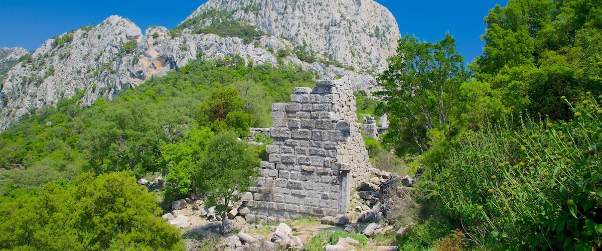 Termessos showing building ruins