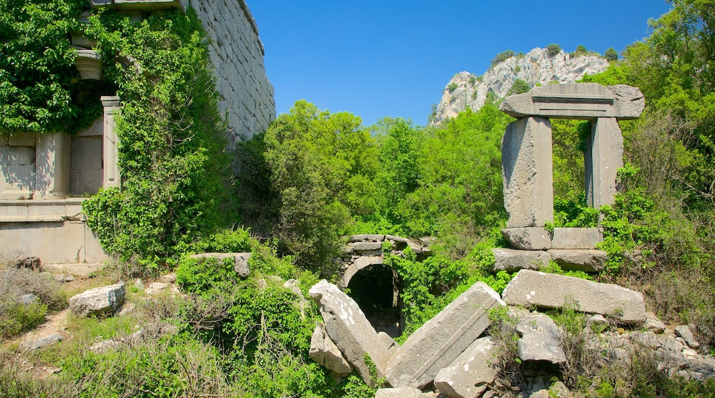 Termessos showing a ruin