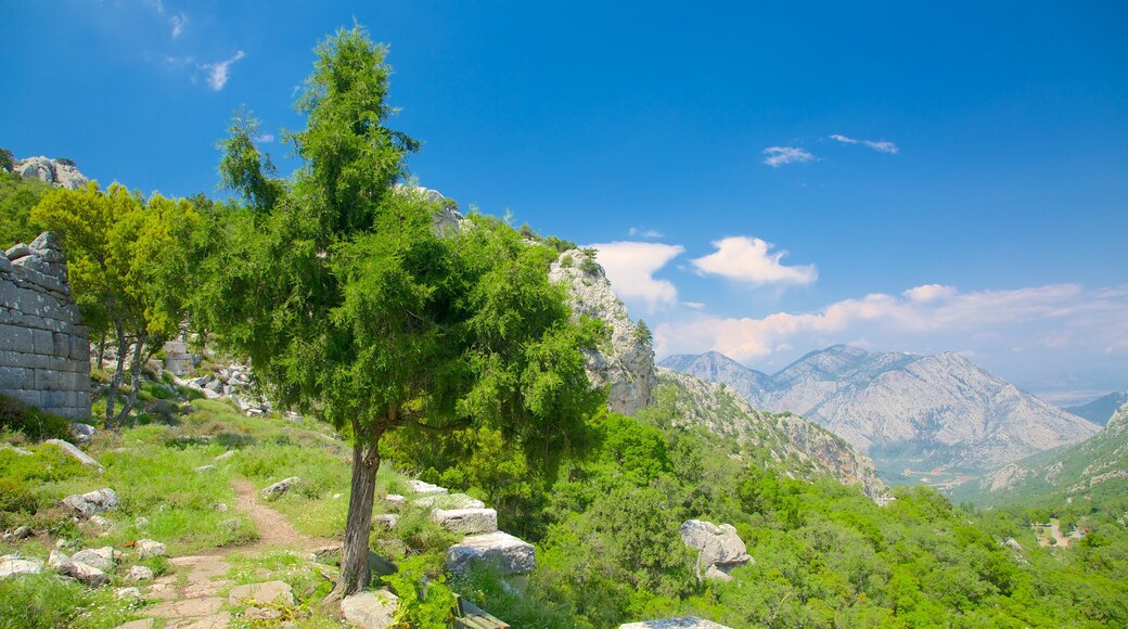 Termessos ofreciendo montañas