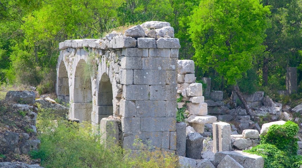 Termessos which includes a ruin