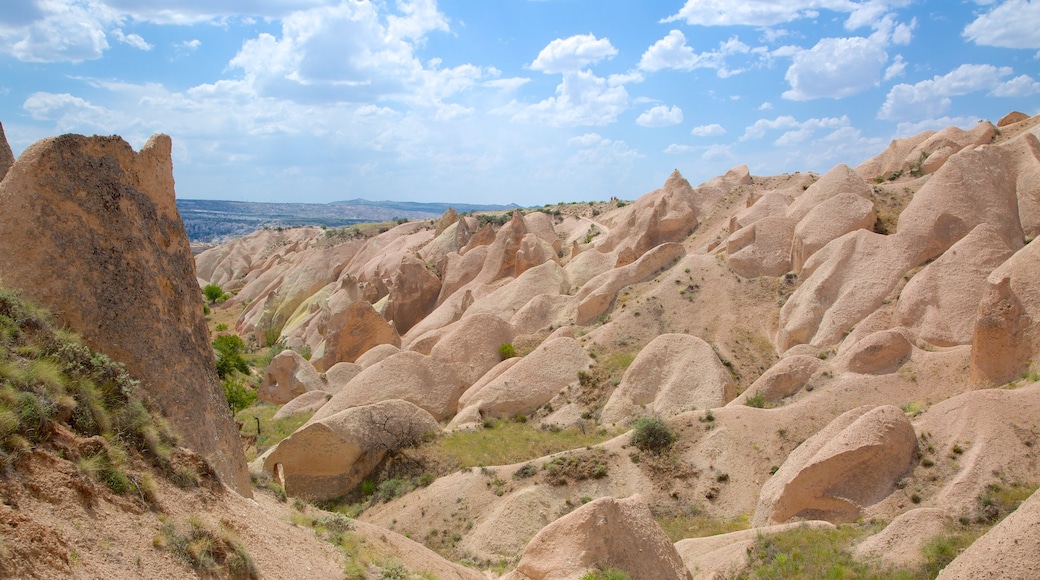 Valle Rojo que incluye un cañón o garganta