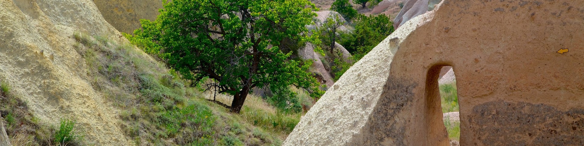 Red Valley featuring a gorge or canyon