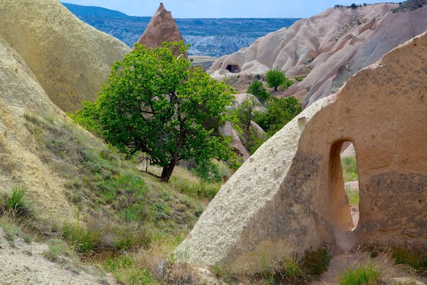 Red Valley featuring a gorge or canyon