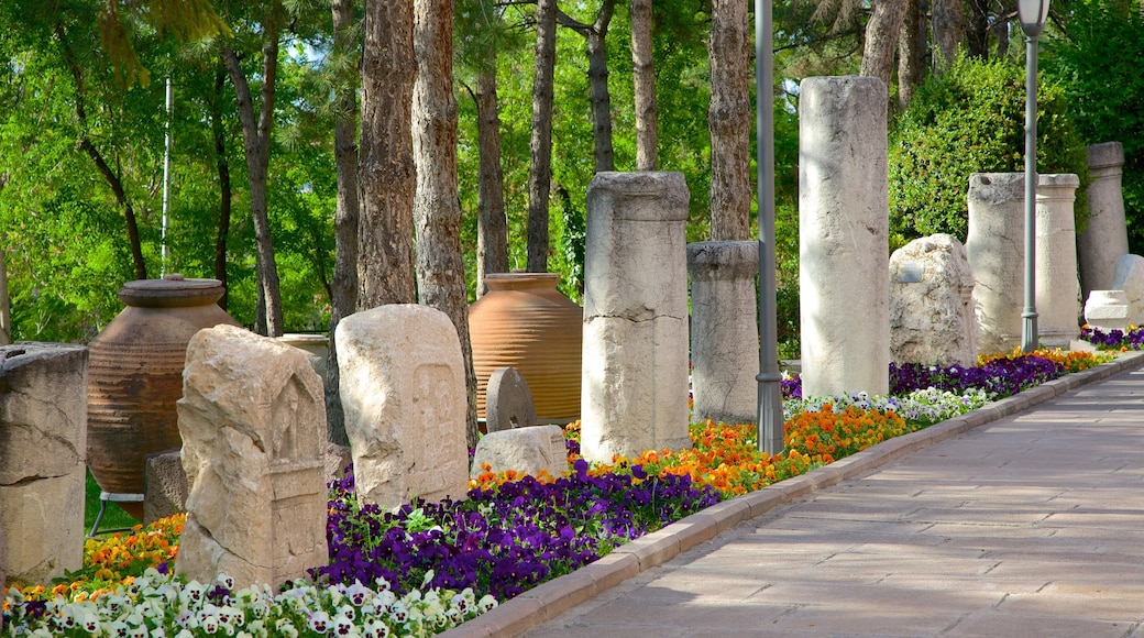 Museum of Anatolian Civilizations showing flowers