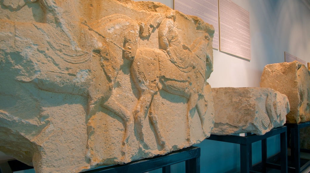 Antalya Museum showing art