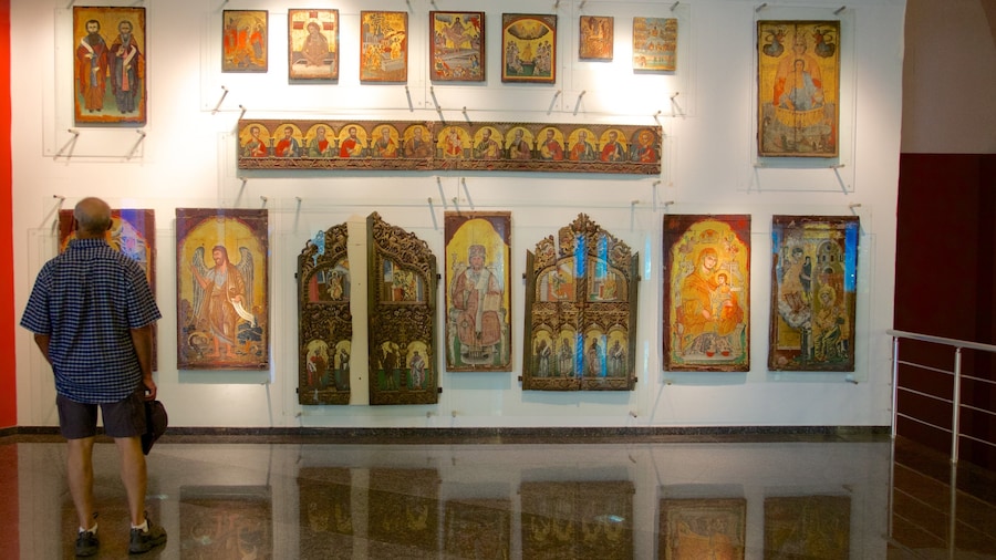 Antalya Museum showing art
