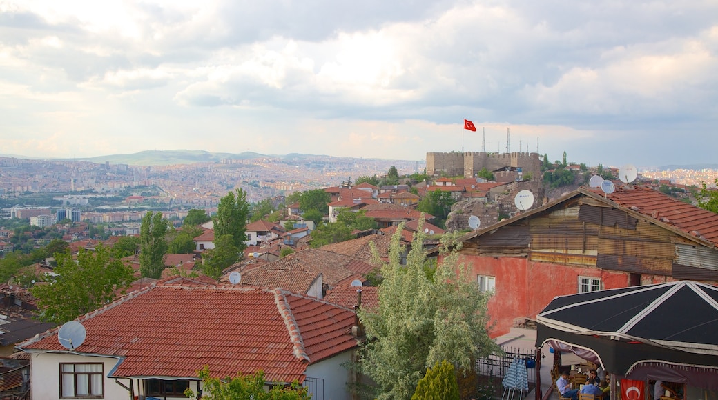 Ankara Citadel showing a castle and a city