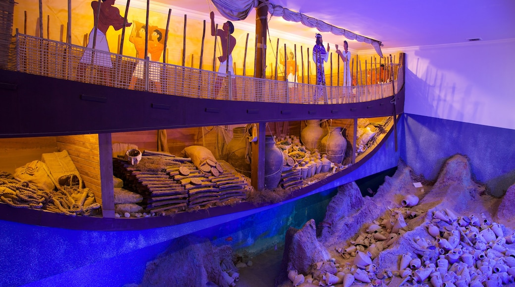 Museo de Arqueología Submarina ofreciendo arte y vistas interiores