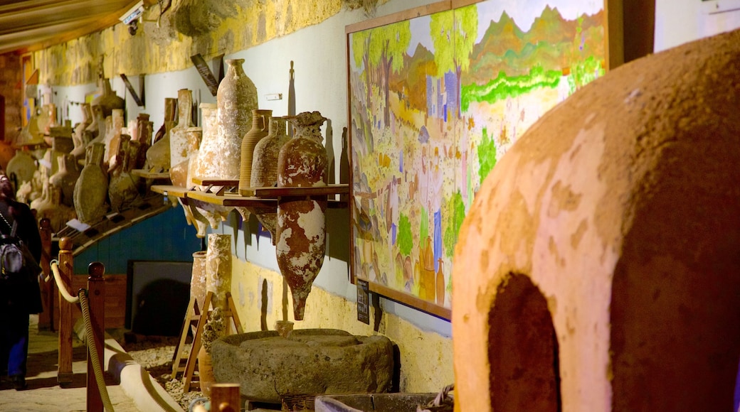 Museum of Underwater Archaeology