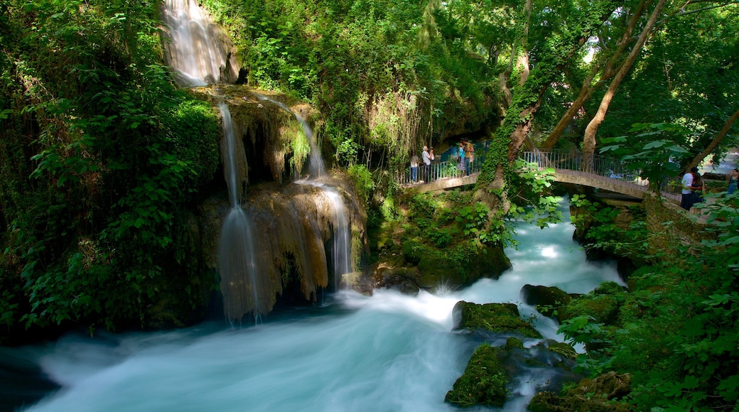 Antalya which includes a garden, forests and a waterfall