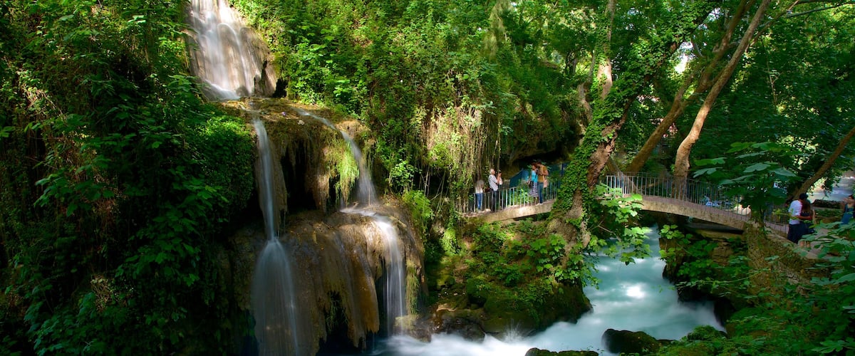 Antalya which includes a garden, forests and a waterfall