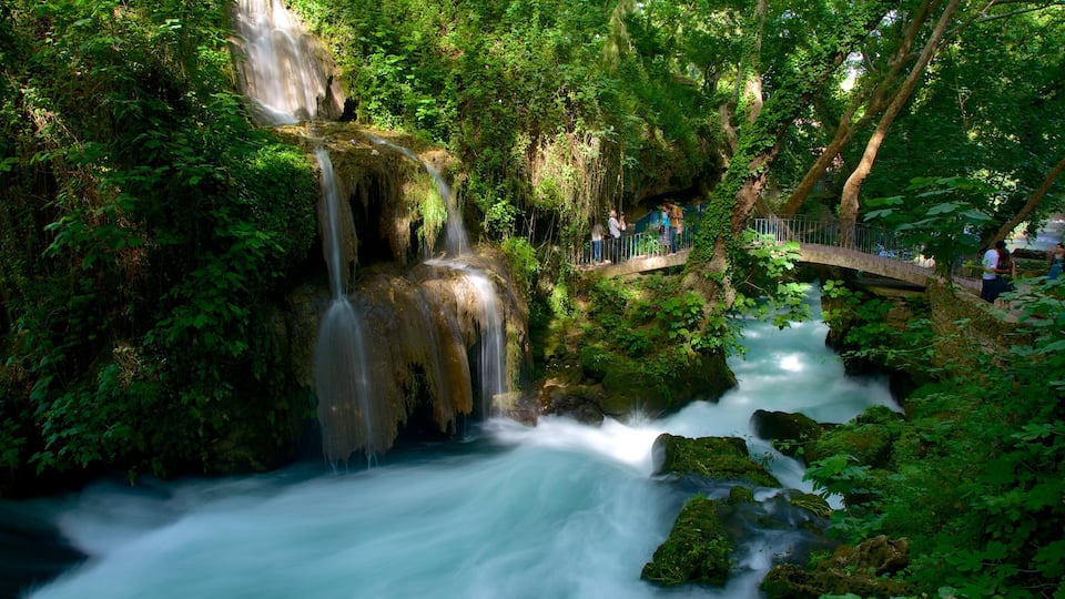 Antalya che include vista del paesaggio, giardino e foresta