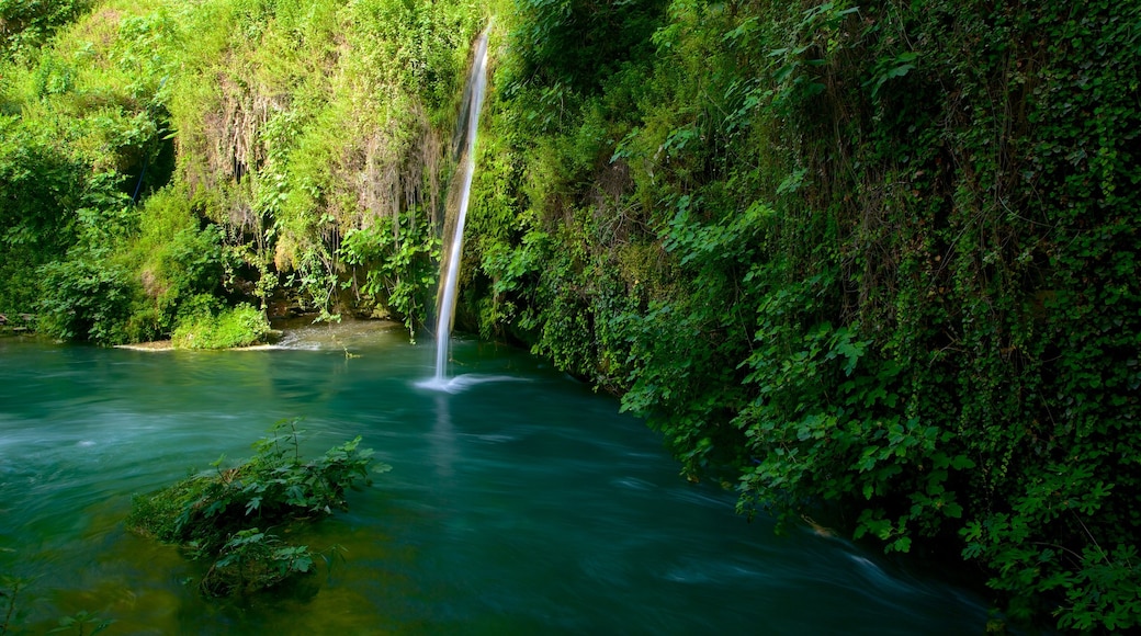 Antalya featuring landscape views, rainforest and a waterfall