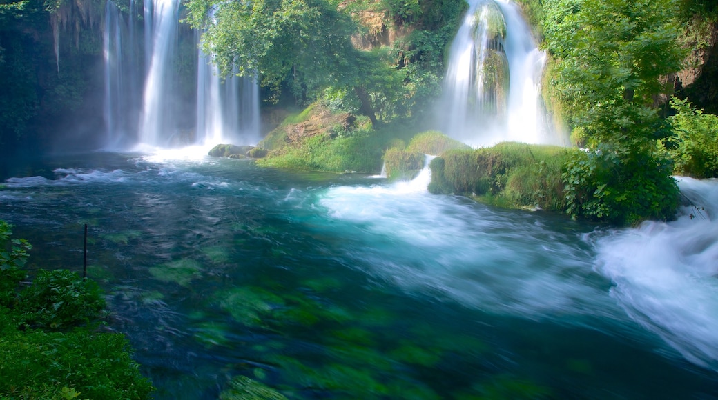 Antalya showing a waterfall