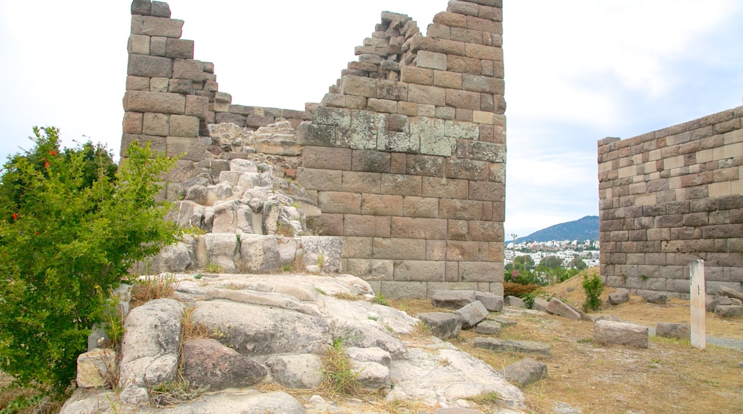 Puerta de Myndos que incluye ruinas de edificios