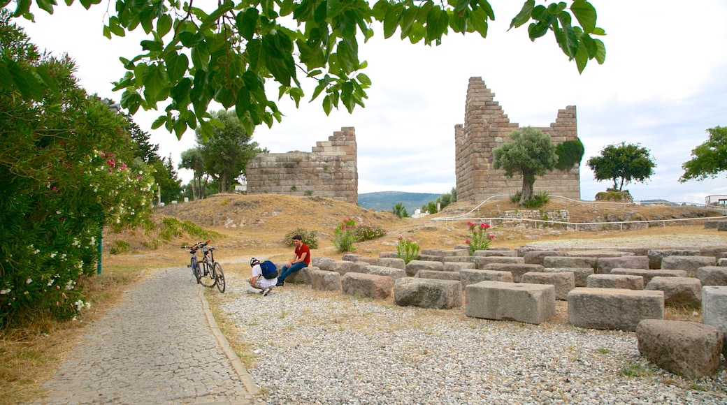 Myndos Gate which includes building ruins