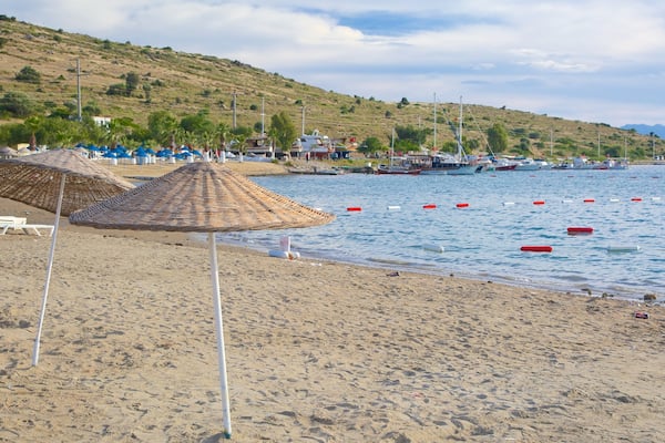 Plage Bardakci montrant plage