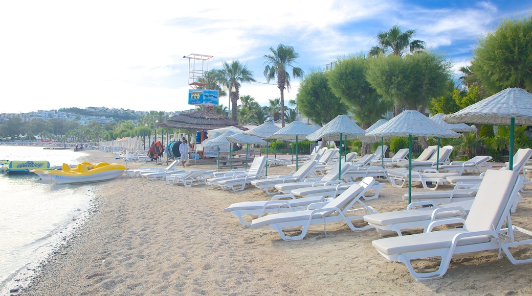 Bardakci strand som inkluderer strand