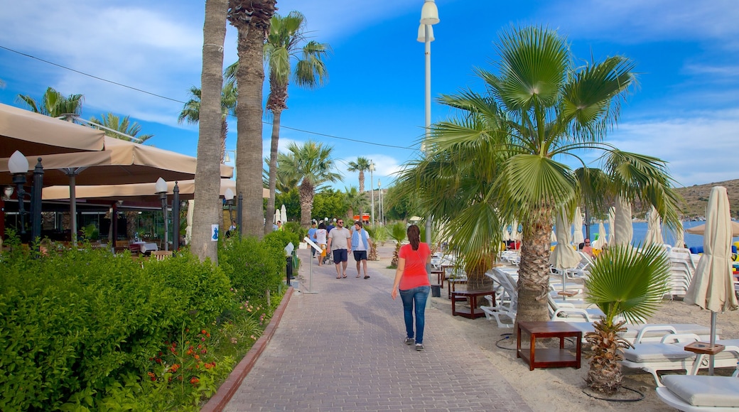 Strand von Bardakçı