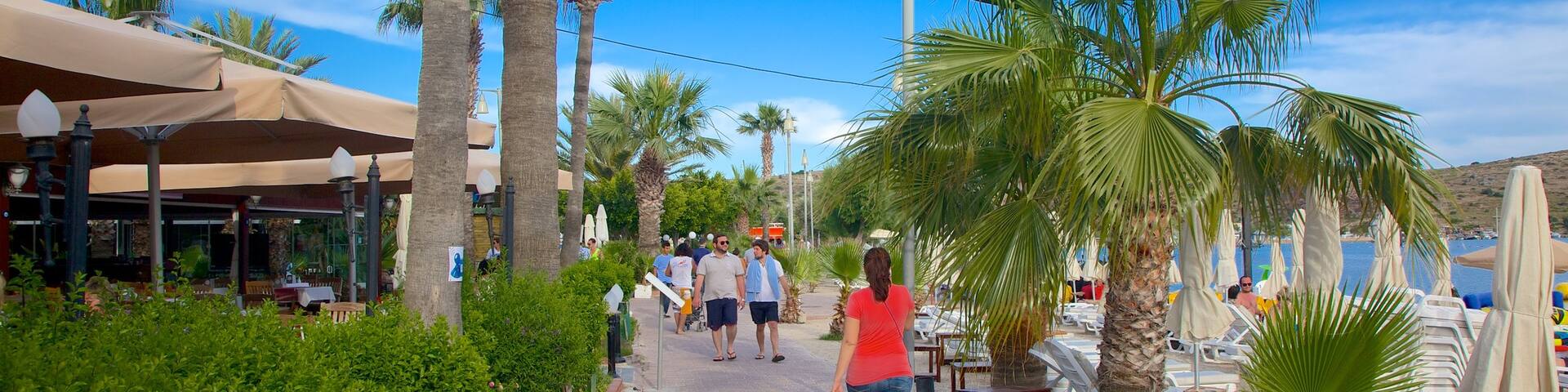 Bardakci Beach as well as an individual female