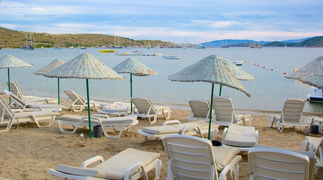 Playa Bardakci que incluye una playa