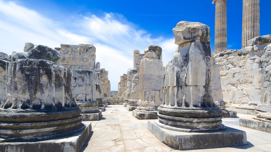 Temple of Apollo and Athena featuring a ruin
