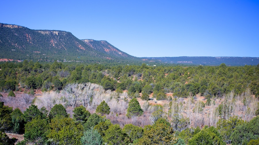 Pecos National Historical Park showing forest scenes and landscape views