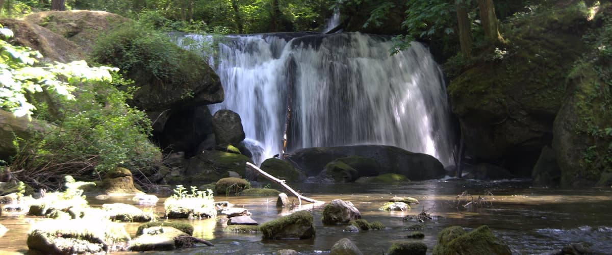 Bellingham featuring a cascade