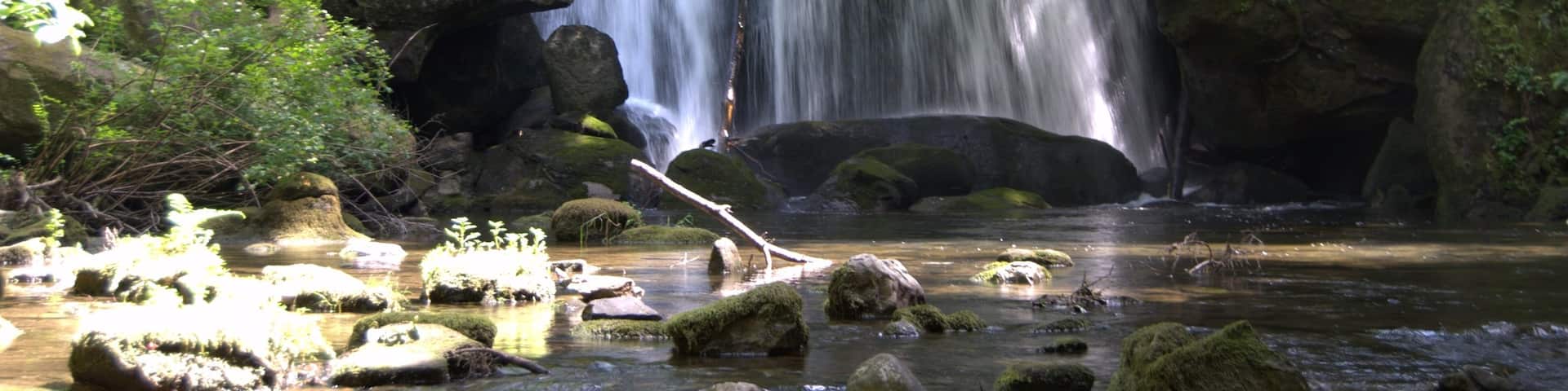 Bellingham qui includes cascade