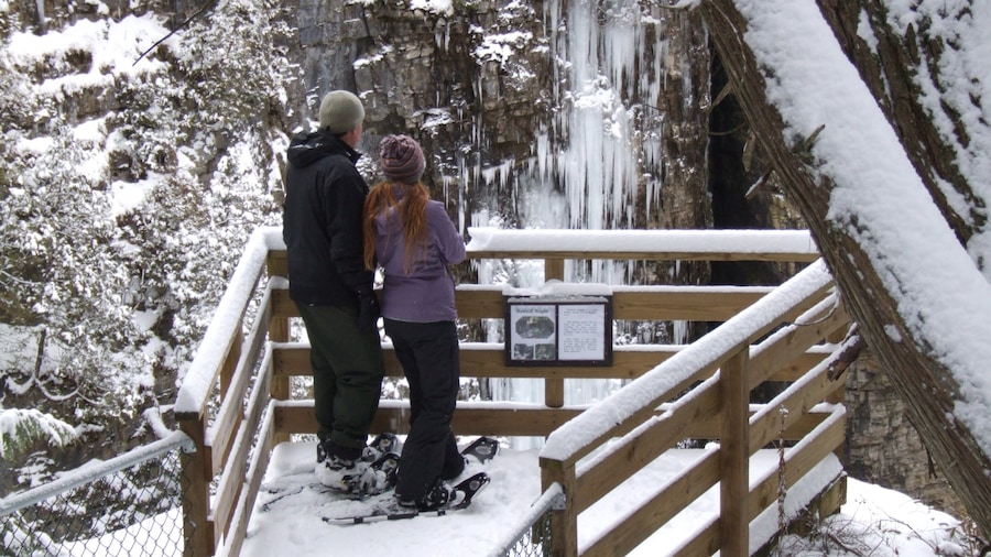Lake Placid featuring snow and views as well as a couple