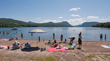 St. Johnsbury welches beinhaltet Strand sowie große Menschengruppe