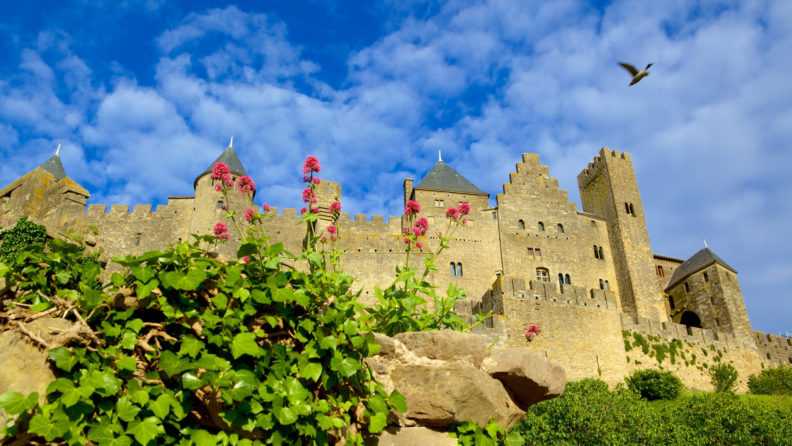 Carcassonne city guide - essential visitor information in English